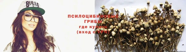 спайс Абаза