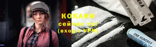 тгк Абинск