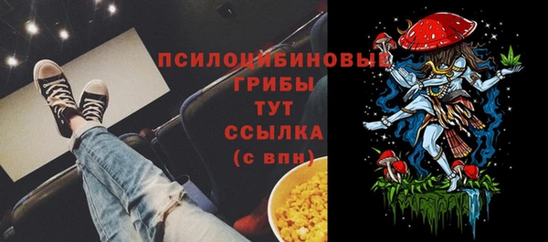 спайс Абаза