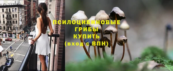 тгк Абинск
