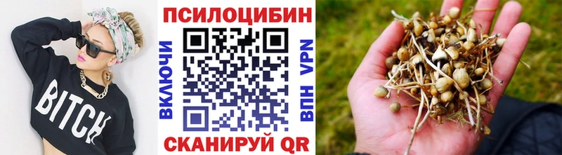 KRAKEN онион  Шебекино  Галлюциногенные грибы мухоморы  купить наркотик 